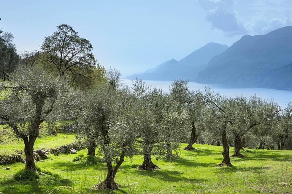 Villa Siresola Malcesine Eksteriør billede